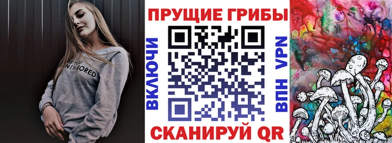 hydra где можно купить наркотик Билибино Псилоцибиновые грибы ЛСД