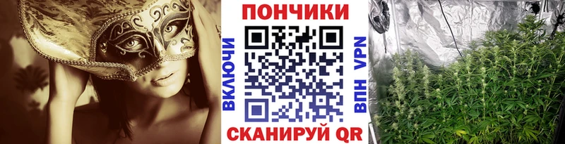 Каннабис конопля дарнет шоп Билибино